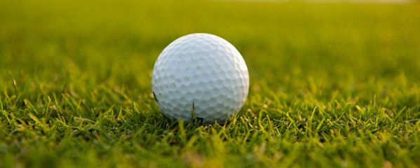 Golf ball on the field close-up horizontal