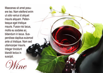 Wine