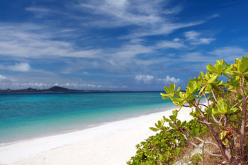 コバルトブルーの美しい海