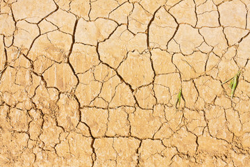Cracked land
