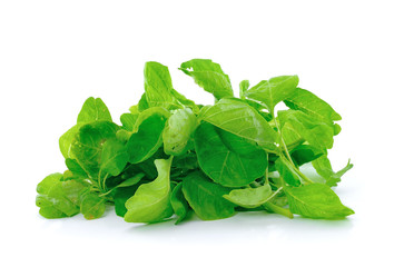 Spinach on white background