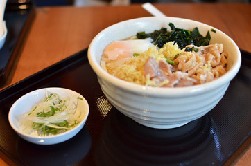 Udon Noodles Ramen with pork