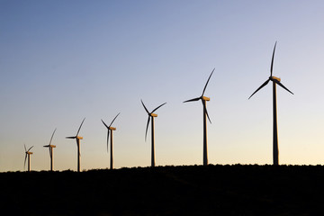 Wind generators during sunset