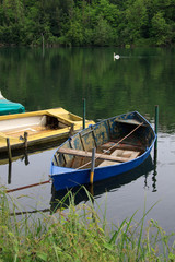 barche sul fiume Adda. Sullo sfondo un cigno reale