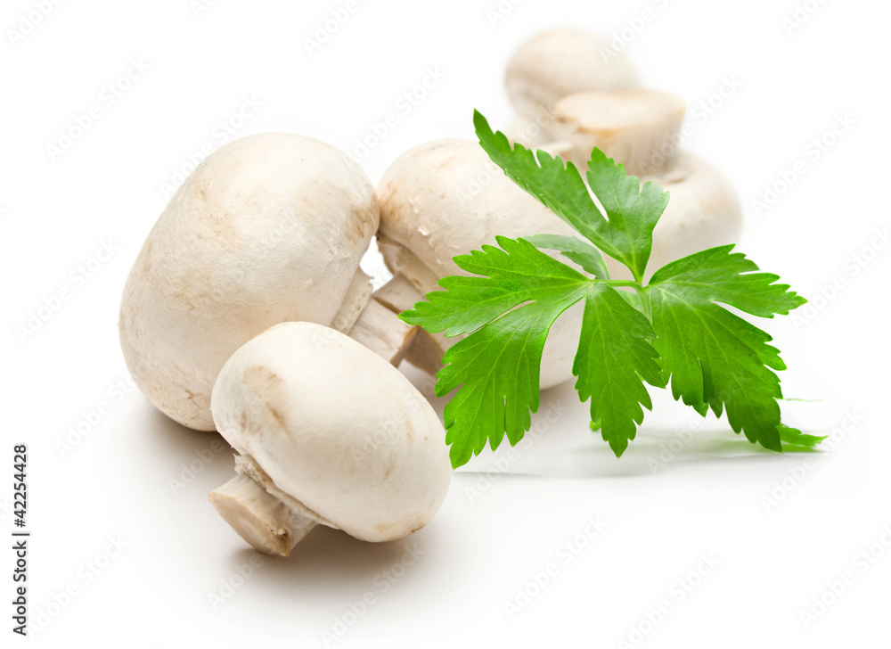 Wall mural champignon and parsley on white