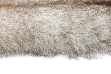 fur texture background