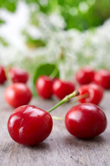 fresh red cherries