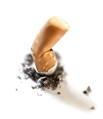 mégot de cigarette écrasé