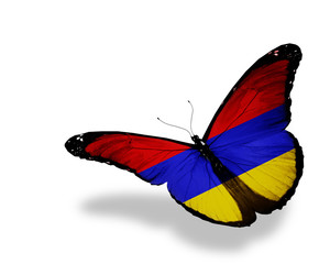 Armenian flag butterfly flying, isolated on white background