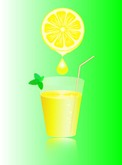 Lemon juice and mint.
