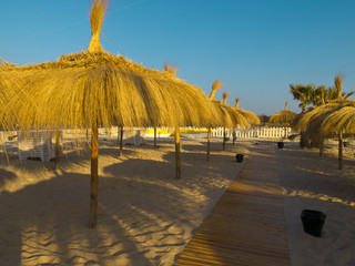 Fototapeta premium Beach of Tunisia