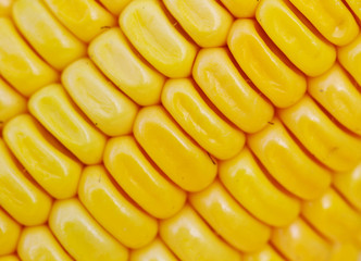 Closr - up Corn