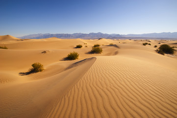 Fototapeta na wymiar Pustynia w Dolinie Śmierci
