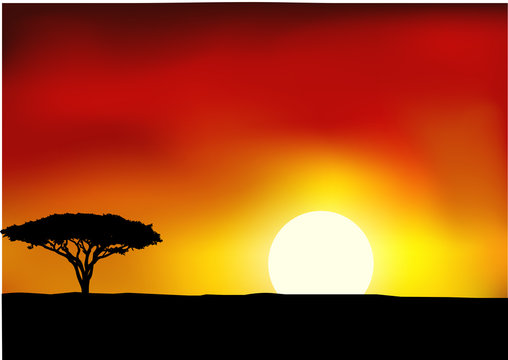 Africa landscape background