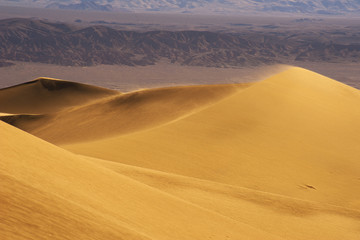 Fototapeta na wymiar desert sand blowing in the wind