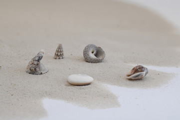 am Meer