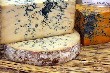 stilton