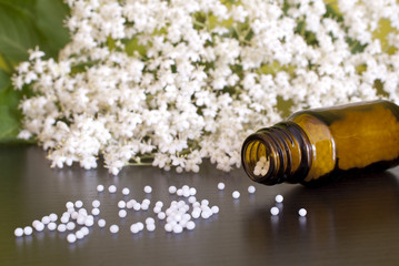 Homöopathische Globuli mit Holunderblüten