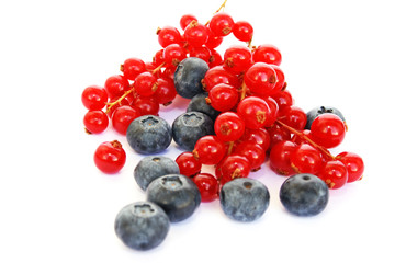 Berries