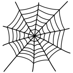 Obraz premium spinnennetz v2 I