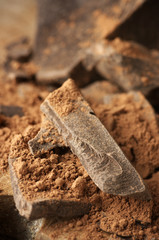 Cocoa mass and cocoa powder