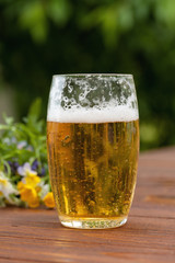 Glass of beer on a picnic table