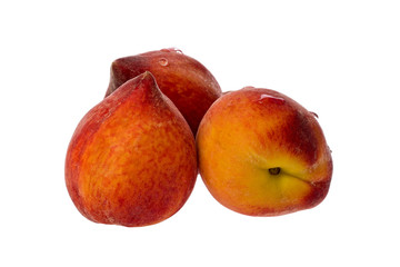 Three Peaches (Prunus persica)