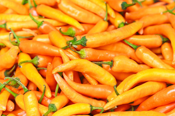Yellow chili