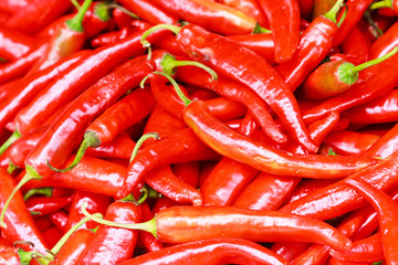 Spicy chilli pepper