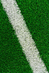Fototapeta premium White stripe on the green grass field