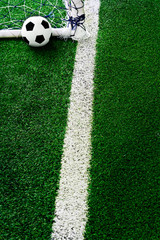 Soccer ball on green grass