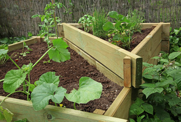 carré potager