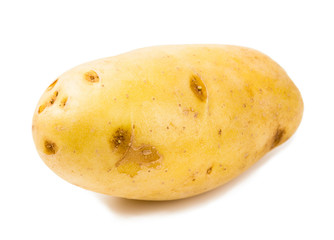 New potato isolated on white background close up