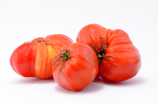 Fleischtomate