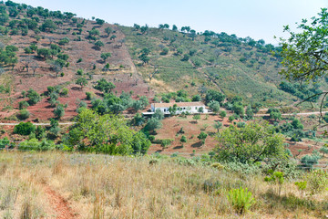 Fototapeta premium country farm in mountains
