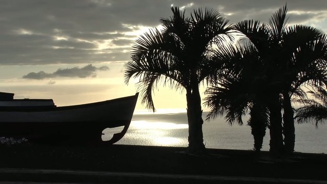 sonnenuntergang mit palmen und boot am meer