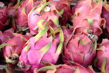 Pitaya fruit