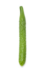 黄瓜