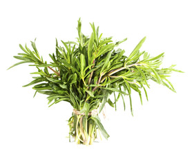 Rosemary