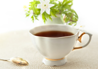 Cup of tea