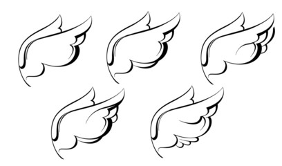 a sketch of the wings black and white graphics