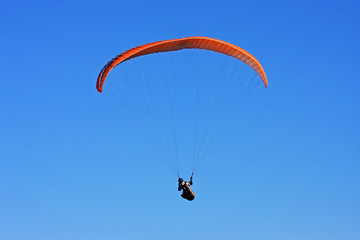 paraglider