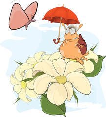 Snail and the butterfly cartoon