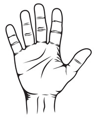Stop Hand