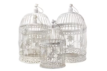 Crédence de cuisine en verre imprimé Oiseaux en cages cage à oiseaux vintage