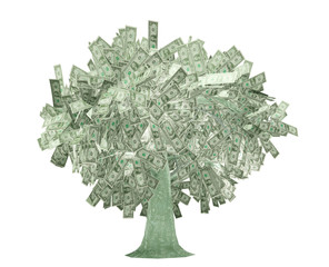 dollars tree