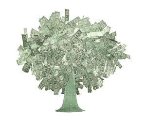 Fototapeta premium dollars tree