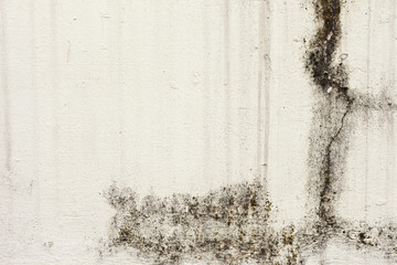 Background from high detailed fragment stone wall