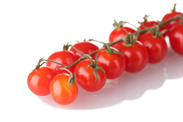 Beautiful cherry tomatoes on a branch isolated on white