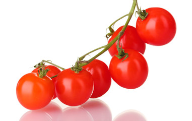 Beautiful cherry tomatoes on a branch isolated on white